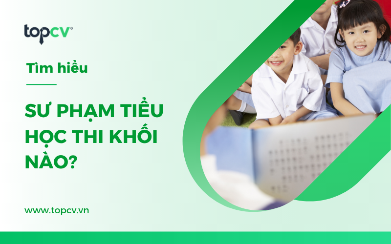 Sư phạm Tiểu học thi khối nào?